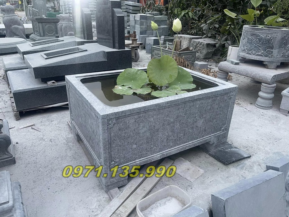 🌱 Chậu Cảnh Bằng Đá - Chậu Đá Bonsai Thường Được Dùng Ở Đâu?
